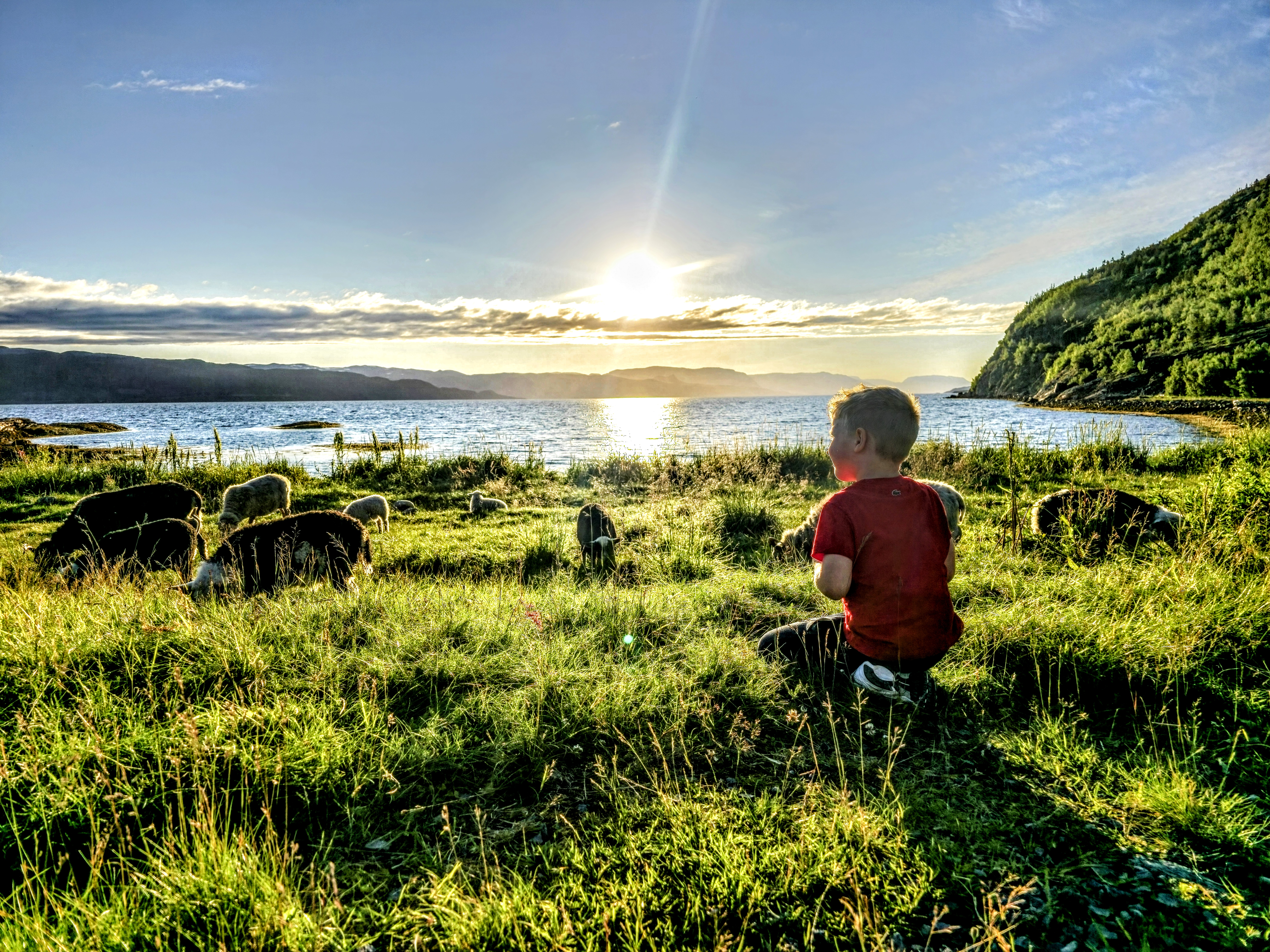 Bilde fra Bilder fra Alta